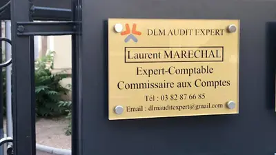 Dlm Audit Expert