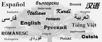 Gmtrad Lille