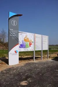 Sygnalis