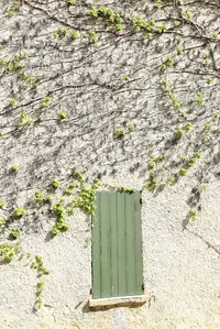 Markize