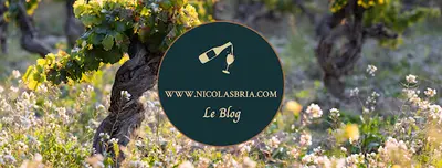 Nicolas Bria - Communication et Marketing Pour les Professionnels du Vin