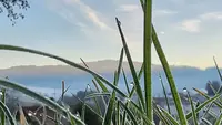 Weasy Marketing-food