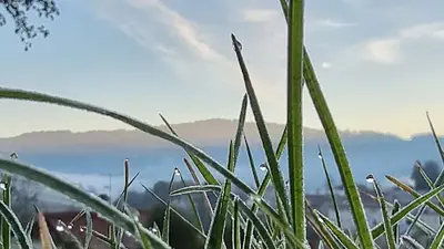 Weasy Marketing-food
